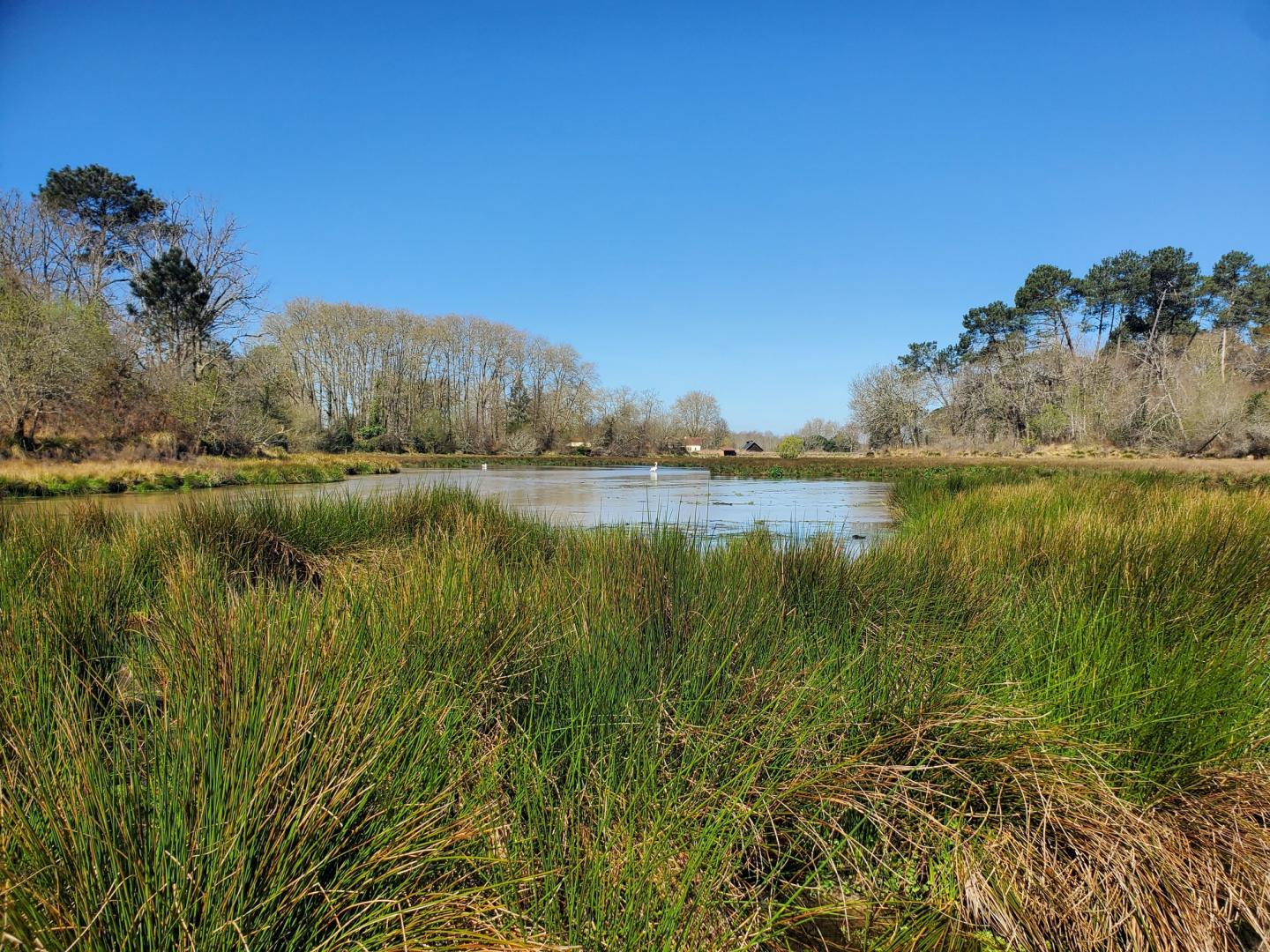 Etang Uza